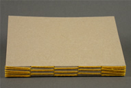 Long Stitch